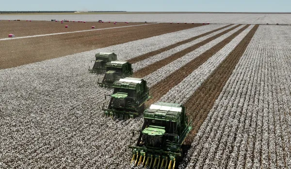 Fazenda Progresso cria QR Code para acompanhar algodão da colheita ao beneficiamento