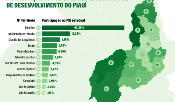 Participação do PIB, em percentual, nos 12 territórios de desenvolvimento do Piauí