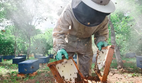 78 mil agricultores do Piauí podem obter até 90% de desconto em dívidas com o Banco do Nordeste