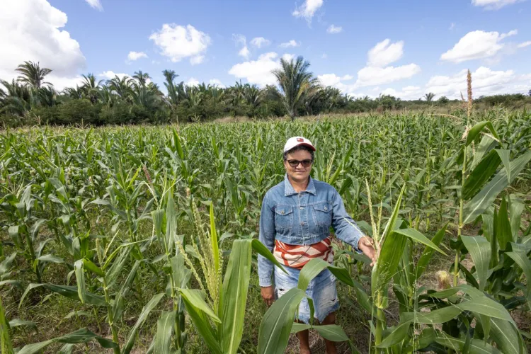  A agricultora Rosa Maria de Oliveira, do Assentamento São Francisco (Foto: Régis Falcão)