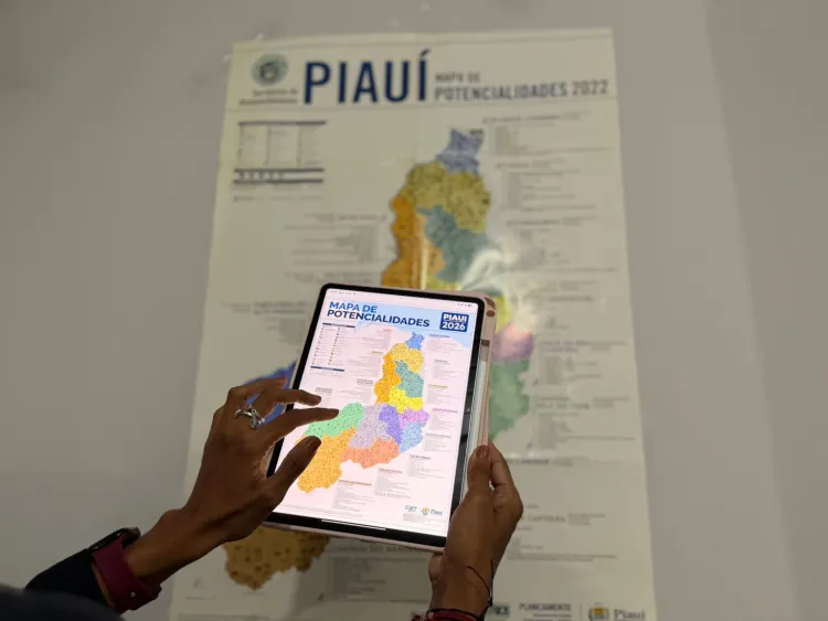 O mapa identifica as principais vocações econômicas de cada município (Foto: Seplan/Governo do Piauí)